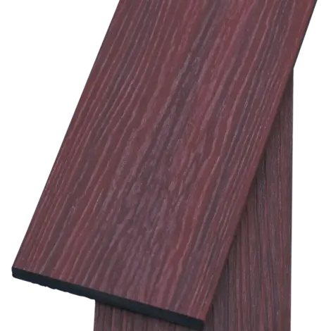 Fascia