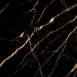 Matt Black & Gold Finish